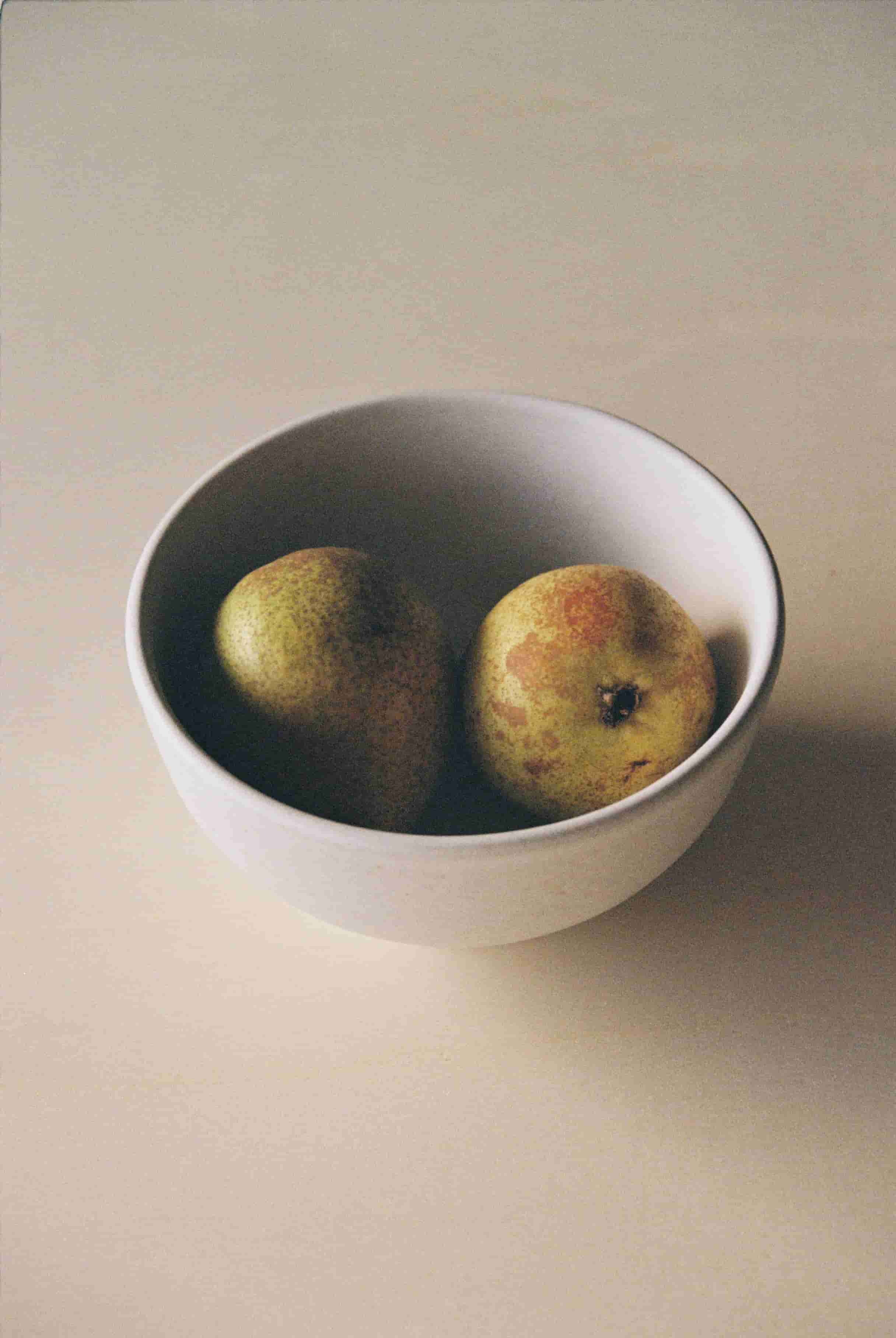 QUIZ: Welches Geschirr passt zu mir?